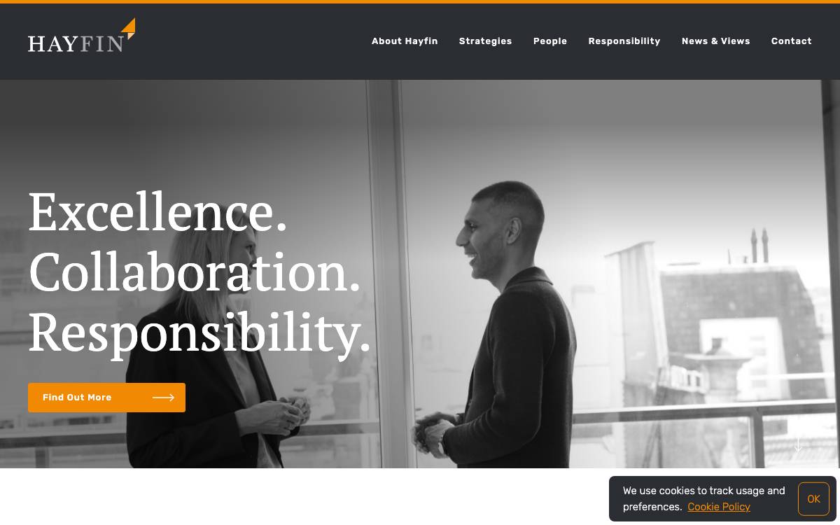 Hayfin website preview