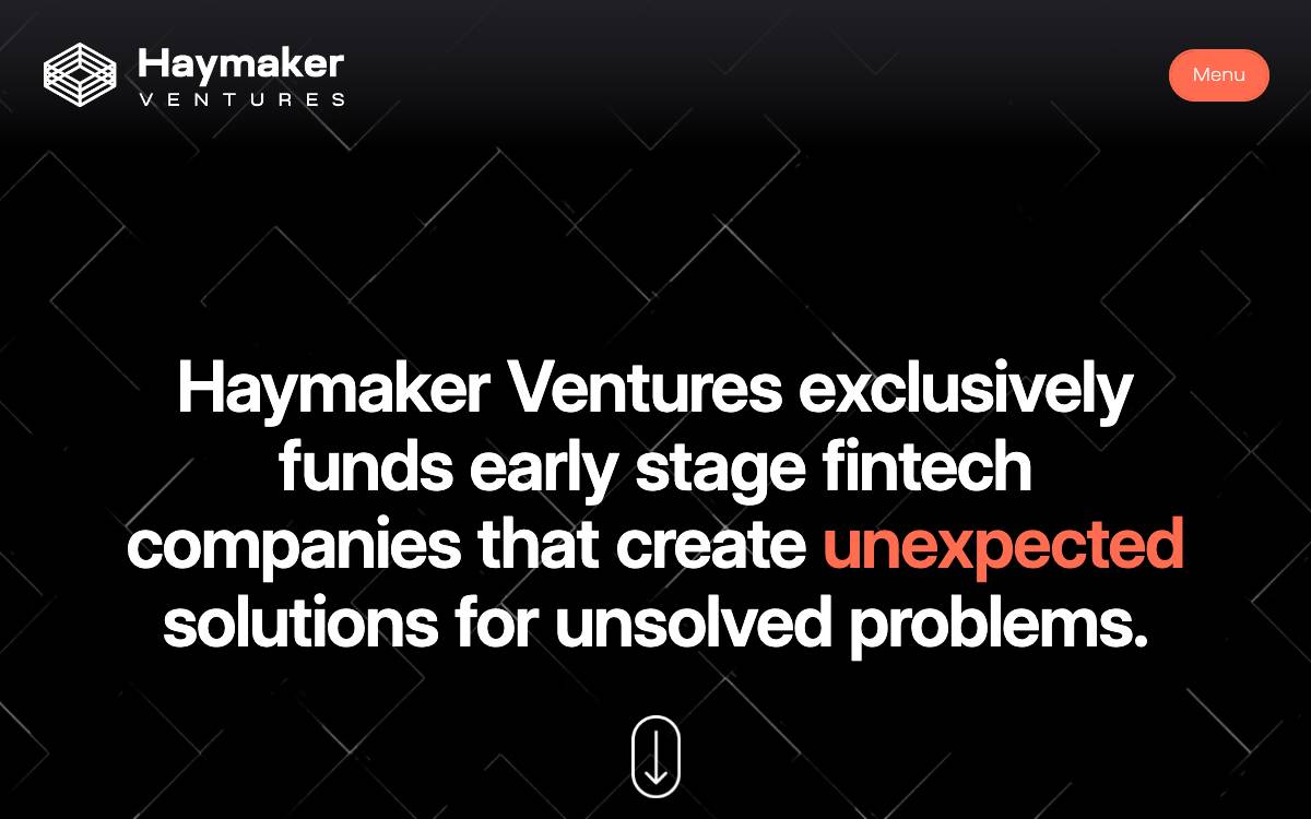 Haymaker Ventures website preview