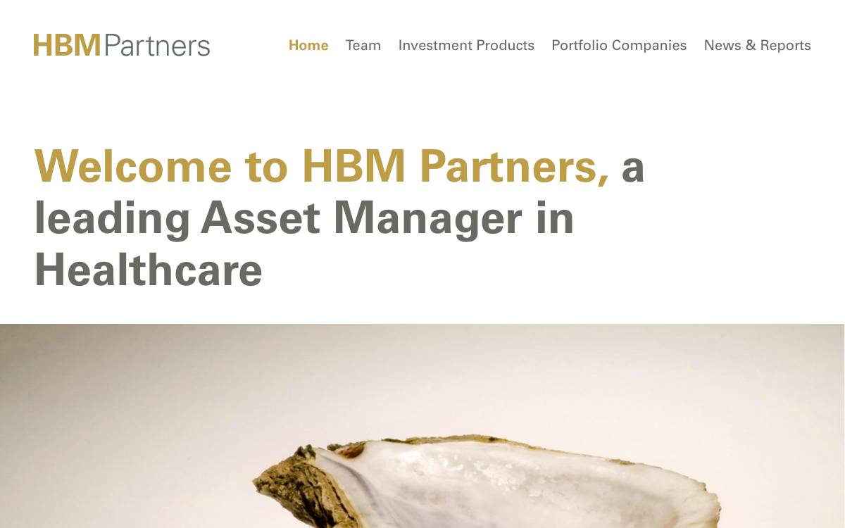 HBM Partners website preview