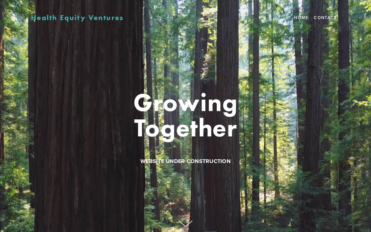 Health Equity Ventures website preview