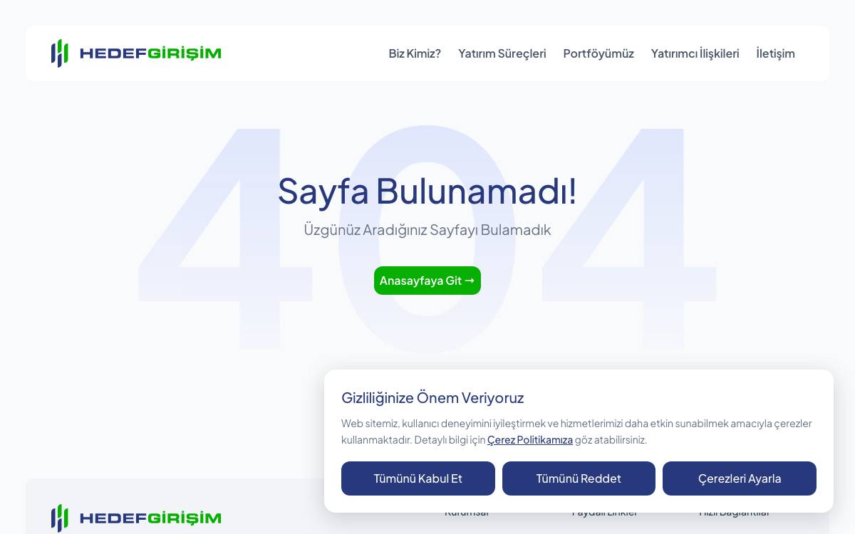 Hedef Girisim website preview