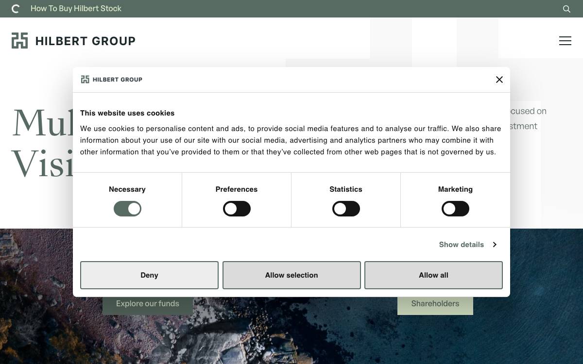 Hilbert Capital website preview