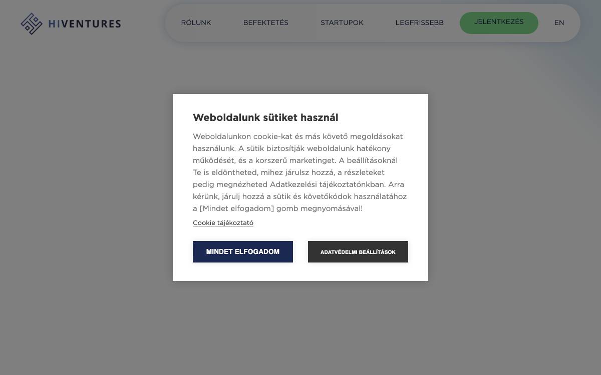Hiventures website preview