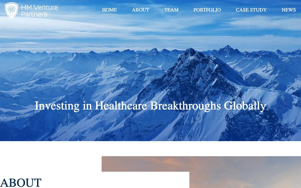 HM Venture Partners website preview