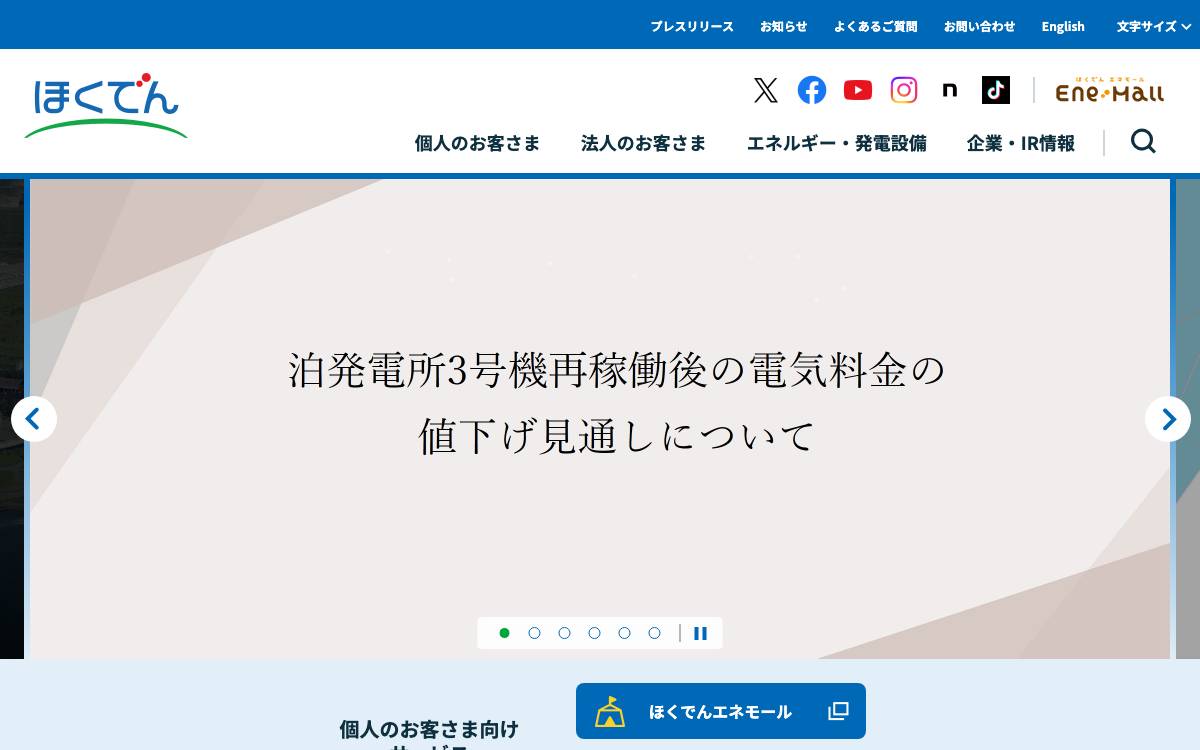 Hokkaido Electric Power website preview