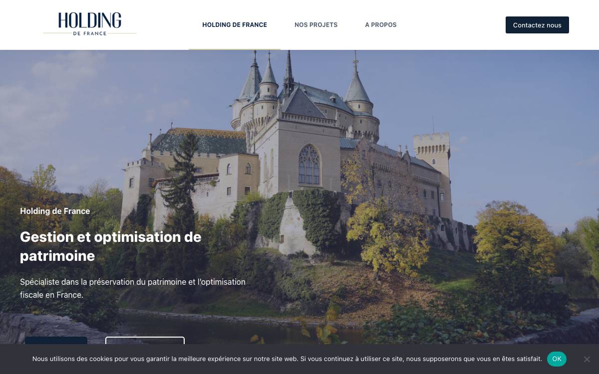 Holding de France website preview