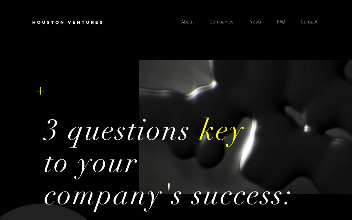 Houston Ventures website preview
