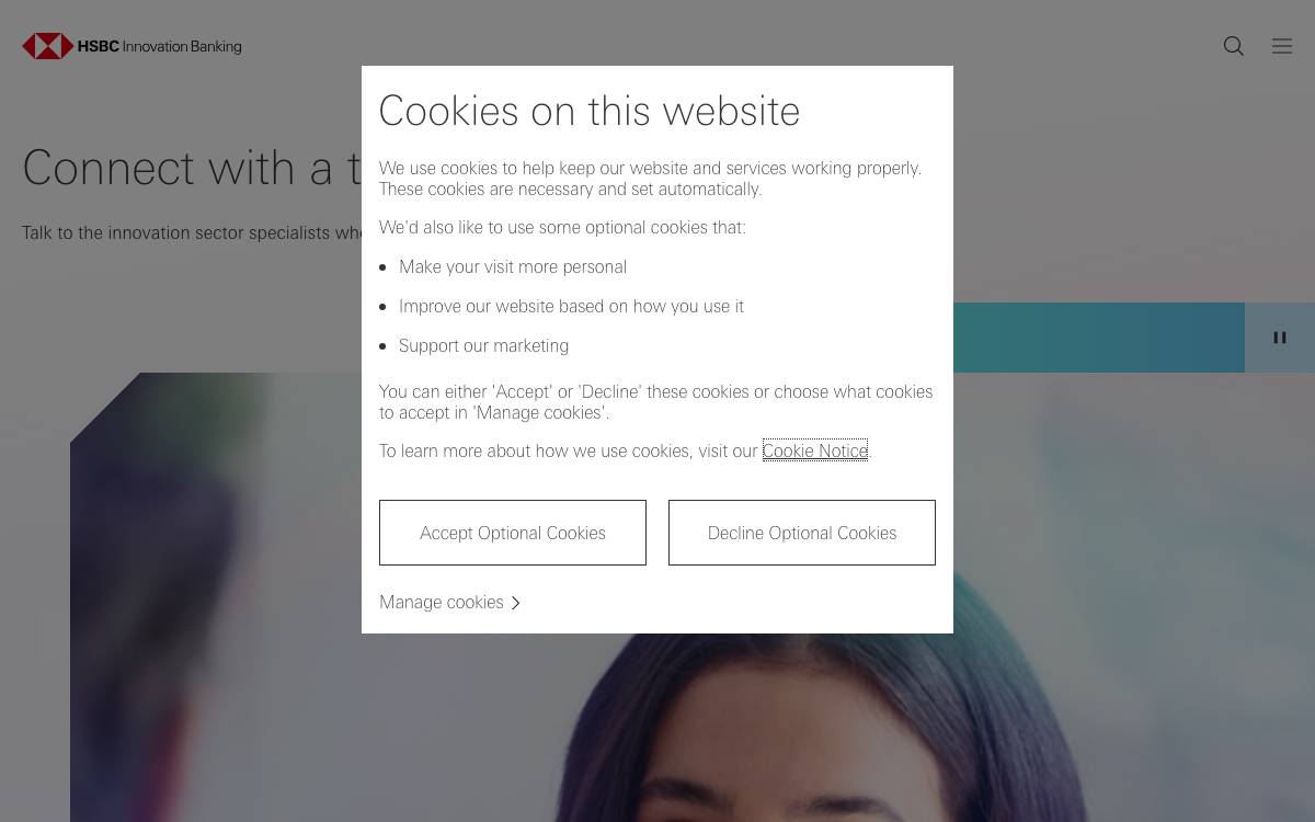HSBC Innovation Ventures website preview