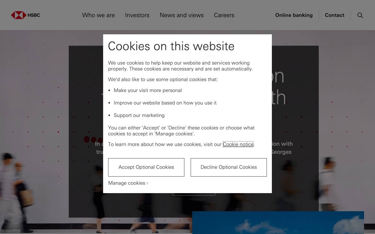 HSBC website preview