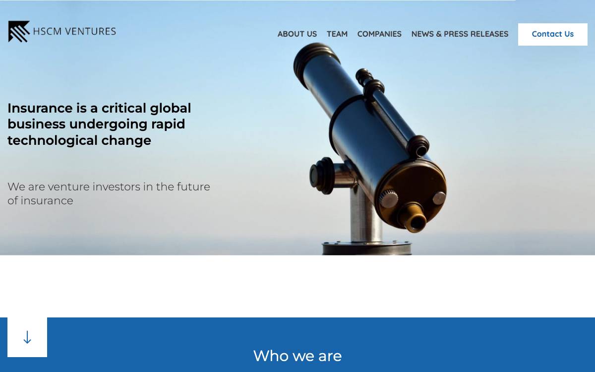 HSCM Ventures website preview