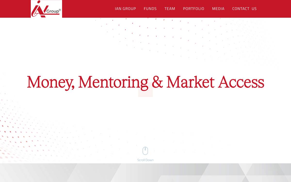 IAN Group website preview