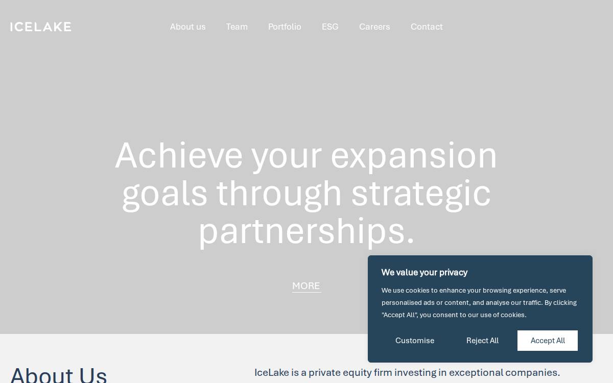 IceLake website preview