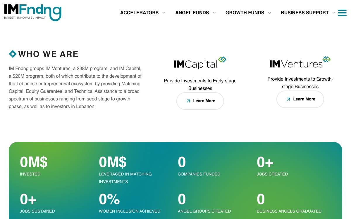 IM Capital website preview