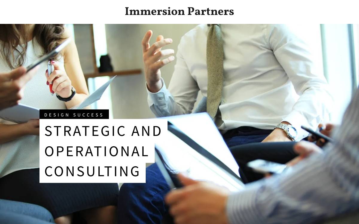 Immersion Partners website preview