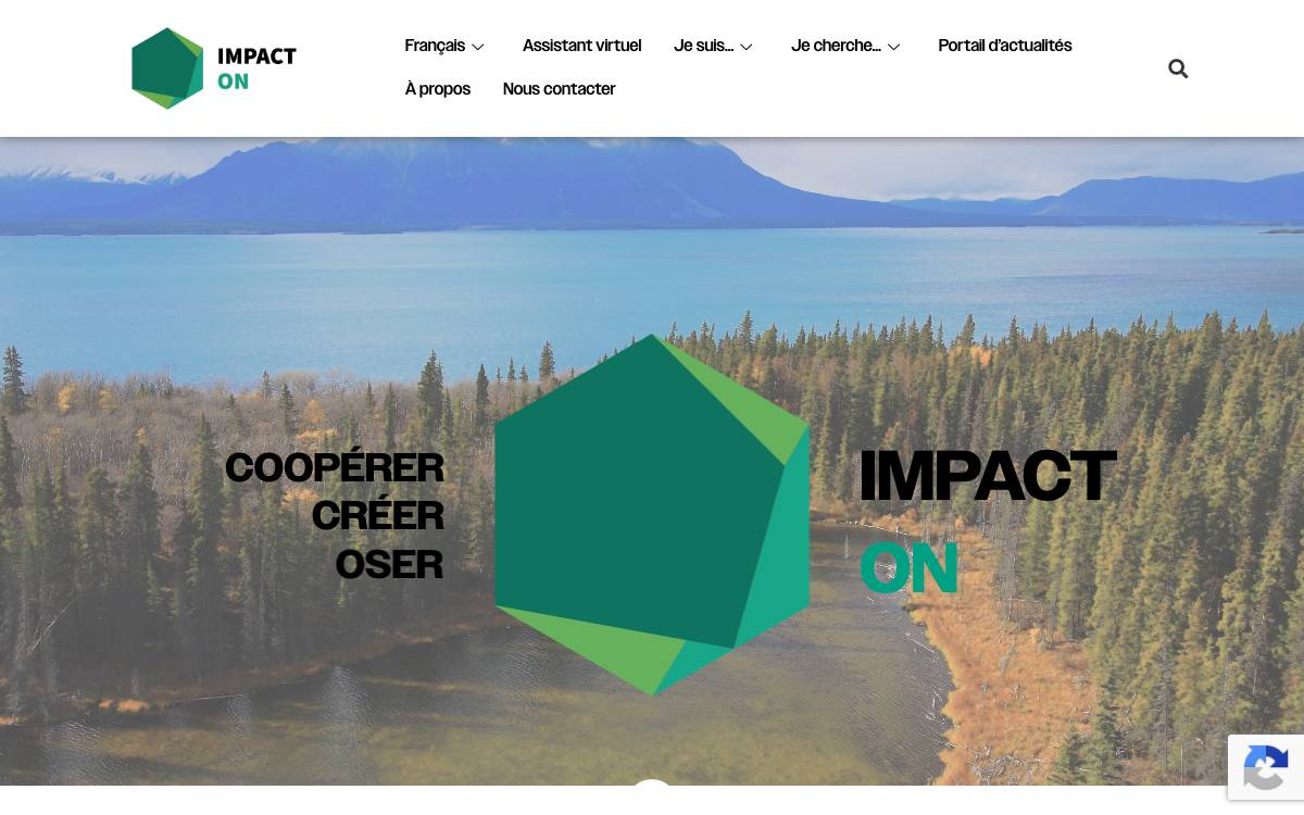 Impact ON website preview