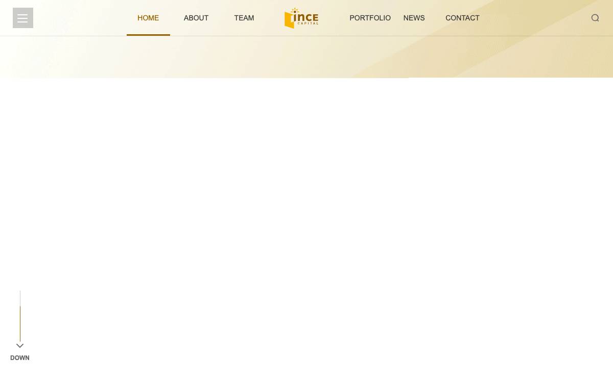 INCE Capital website preview