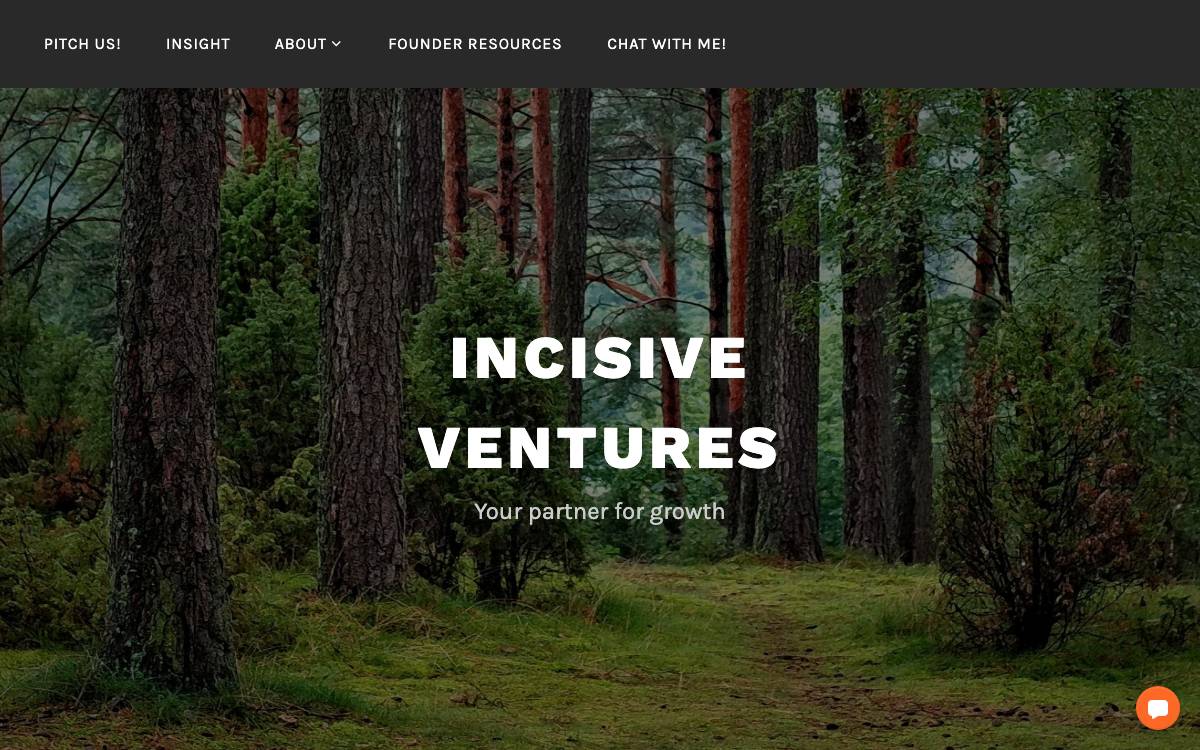 Incisive Ventures website preview