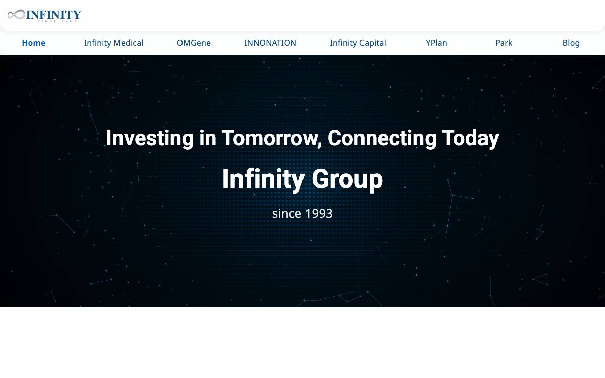 Infinity Group website preview