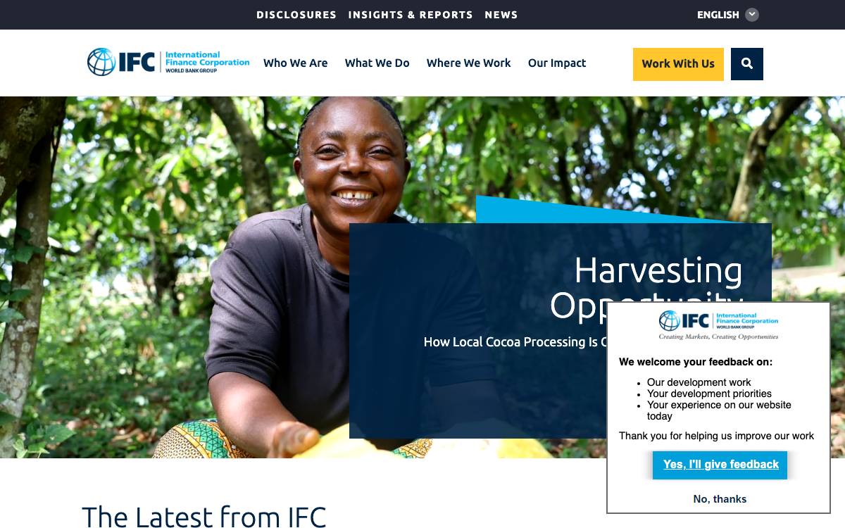 International Finance Corporation website preview