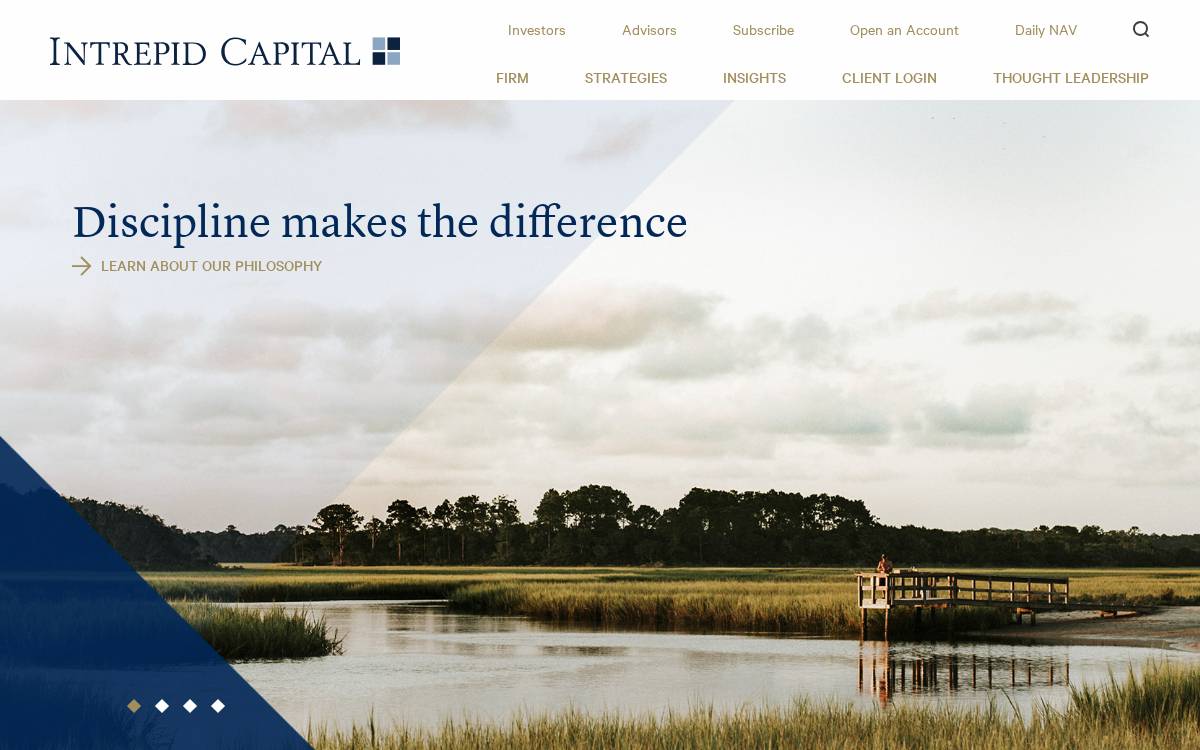 Intrepid website preview