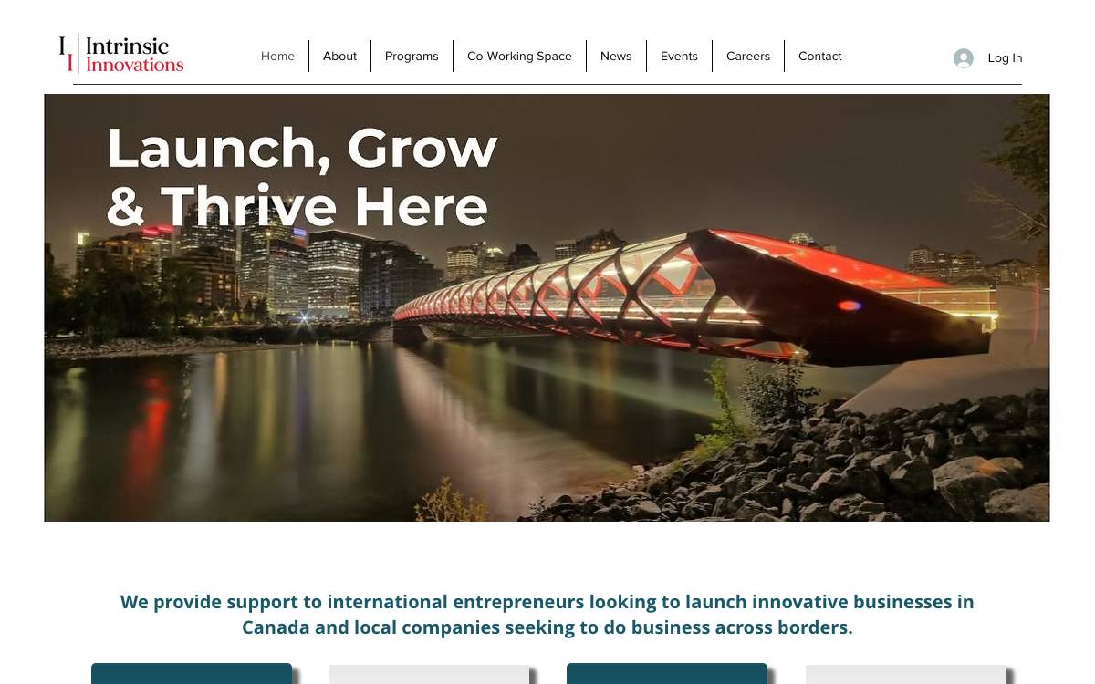 Intrinsic Innovations website preview
