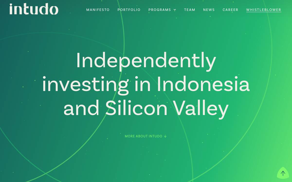 Intudo Ventures website preview