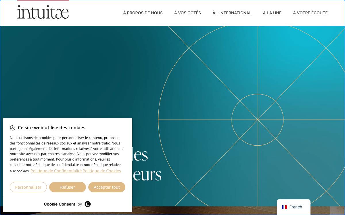 Intuitae website preview