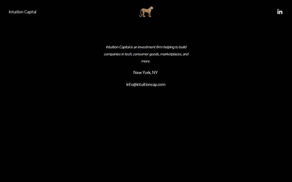 Intuition Capital website preview