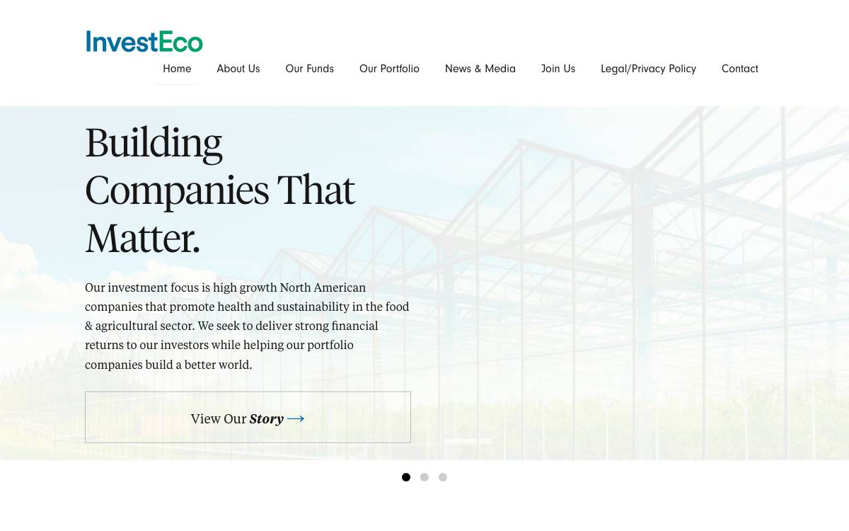 InvestEco website preview