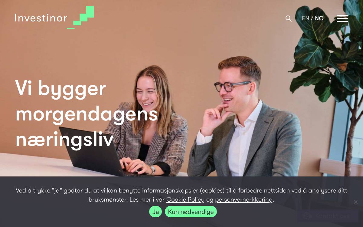 Investinor website preview