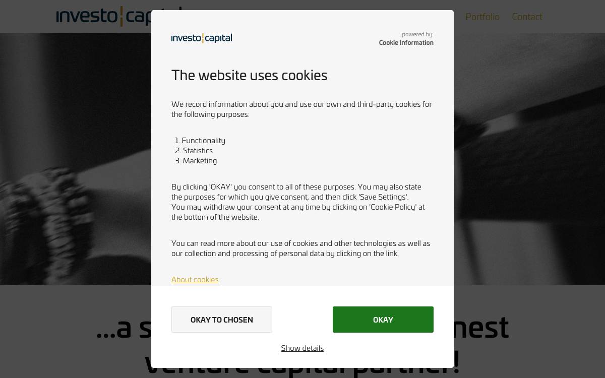 Investo Capital website preview