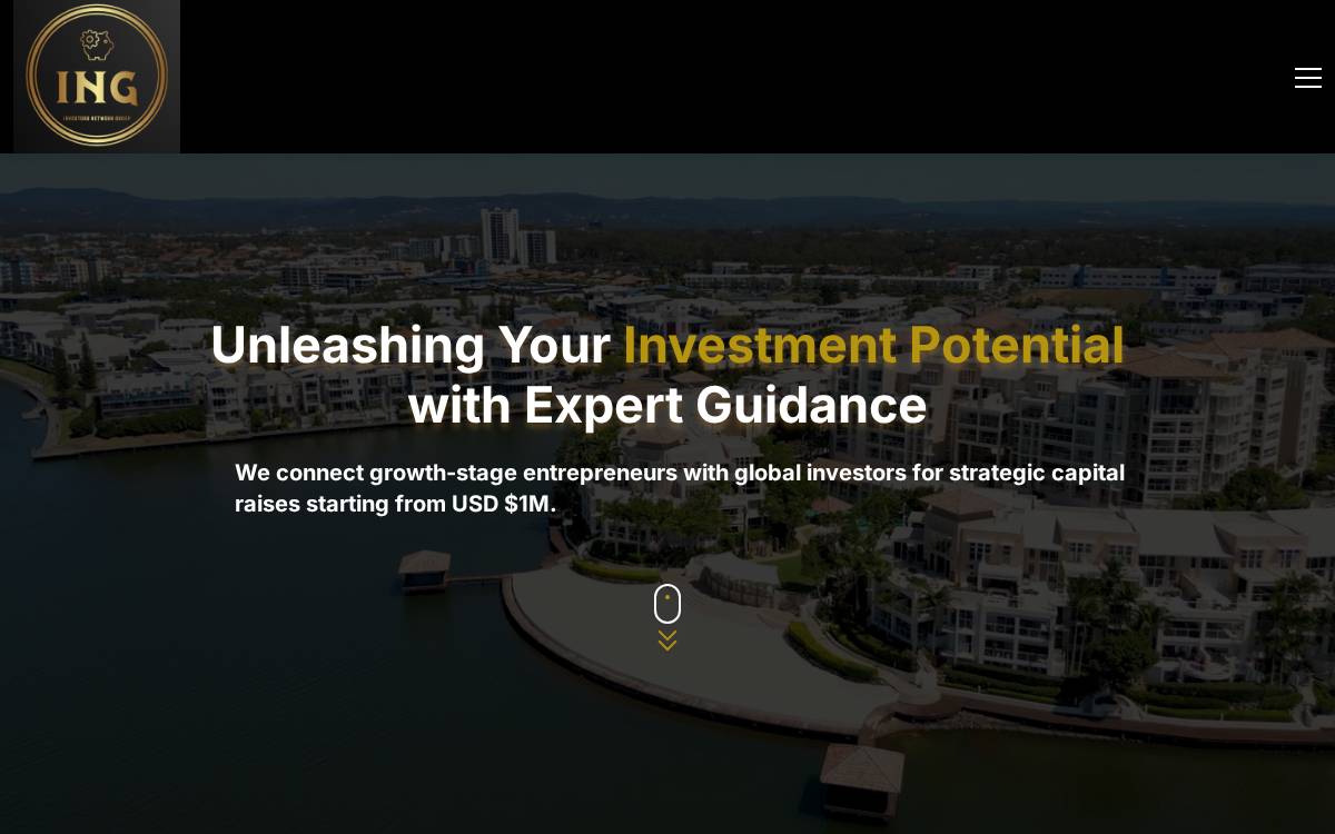 Investors Network Group website preview