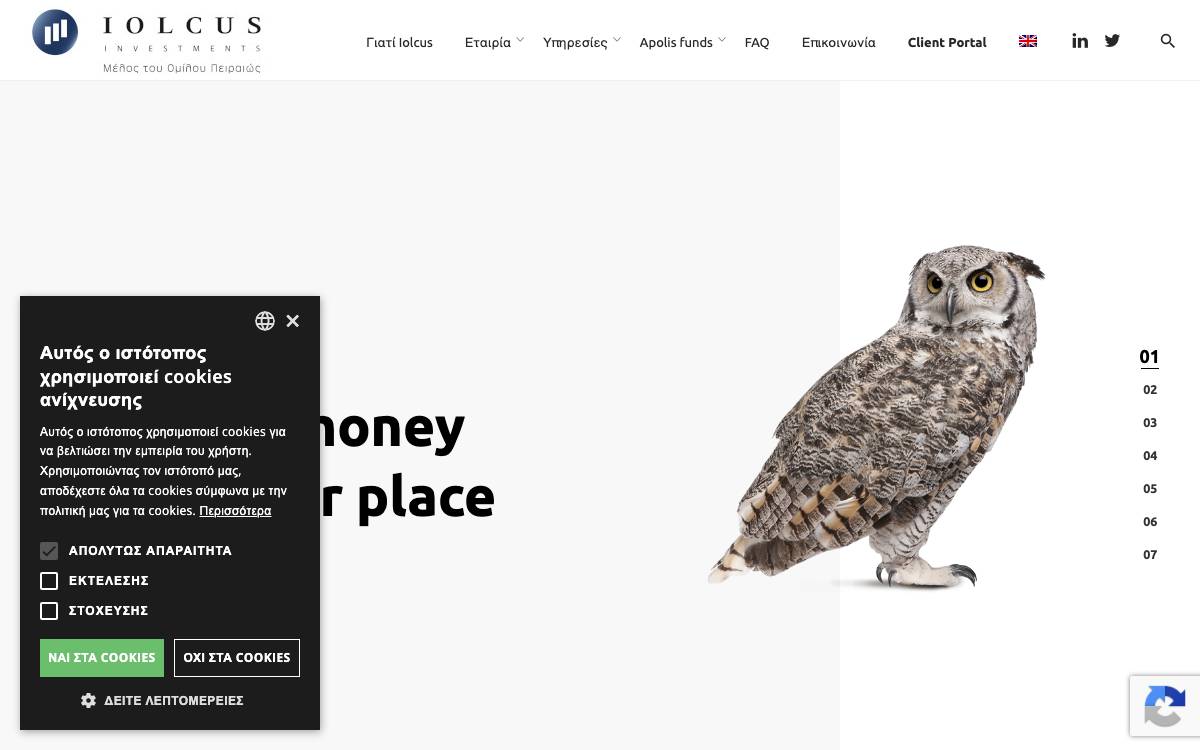 Iolcus Investments website preview