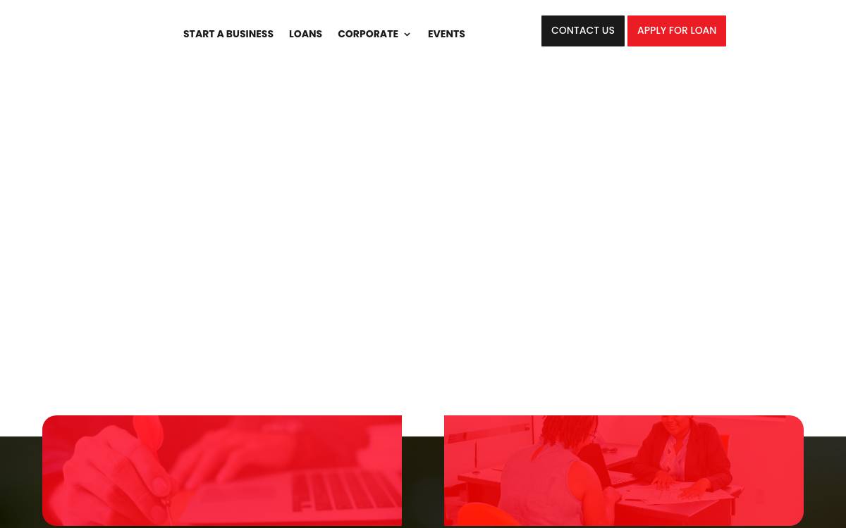 IPED website preview