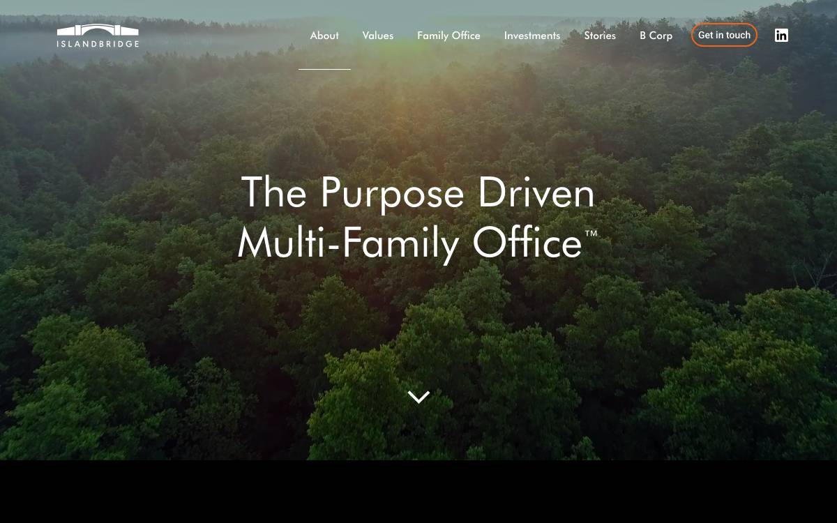 Islandbridge website preview