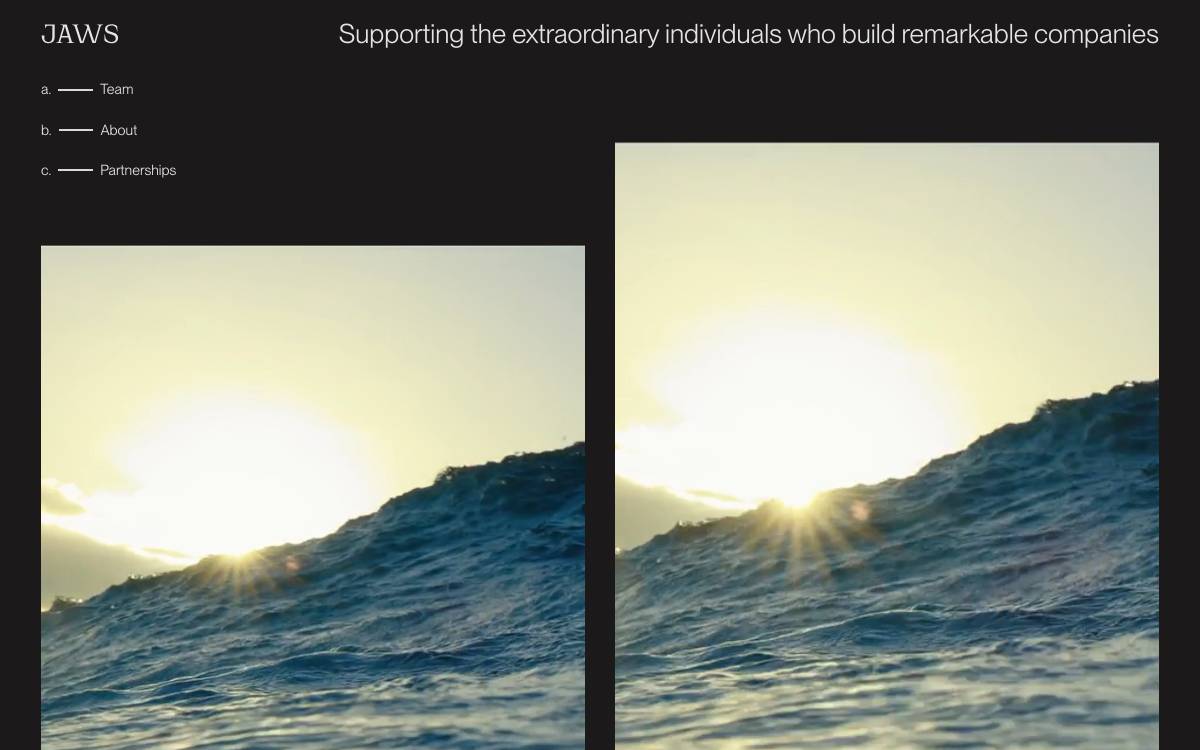 Jaws Ventures website preview