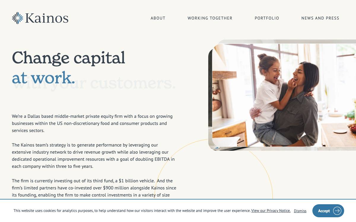 Kainos website preview