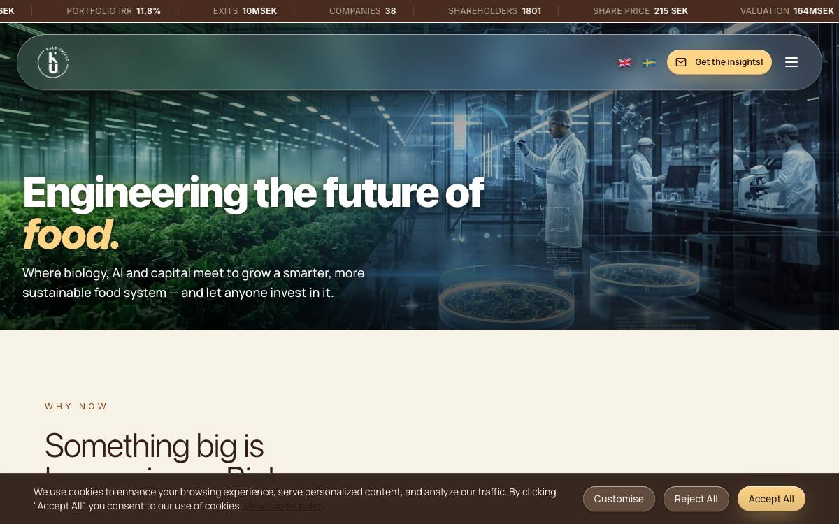 Kale United website preview