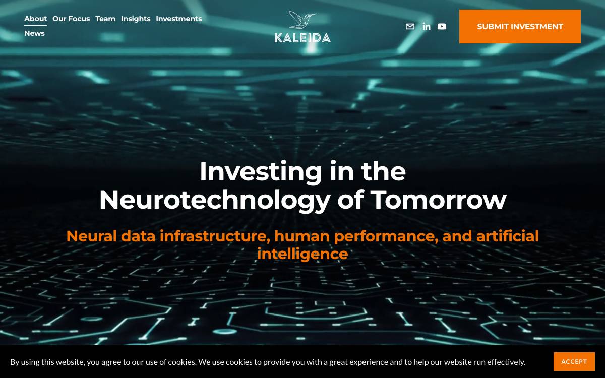 Kaleida Capital website preview