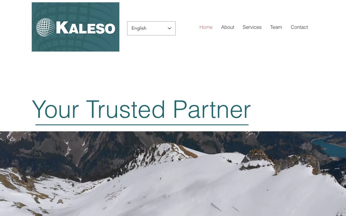 Kaleso Ltd. website preview