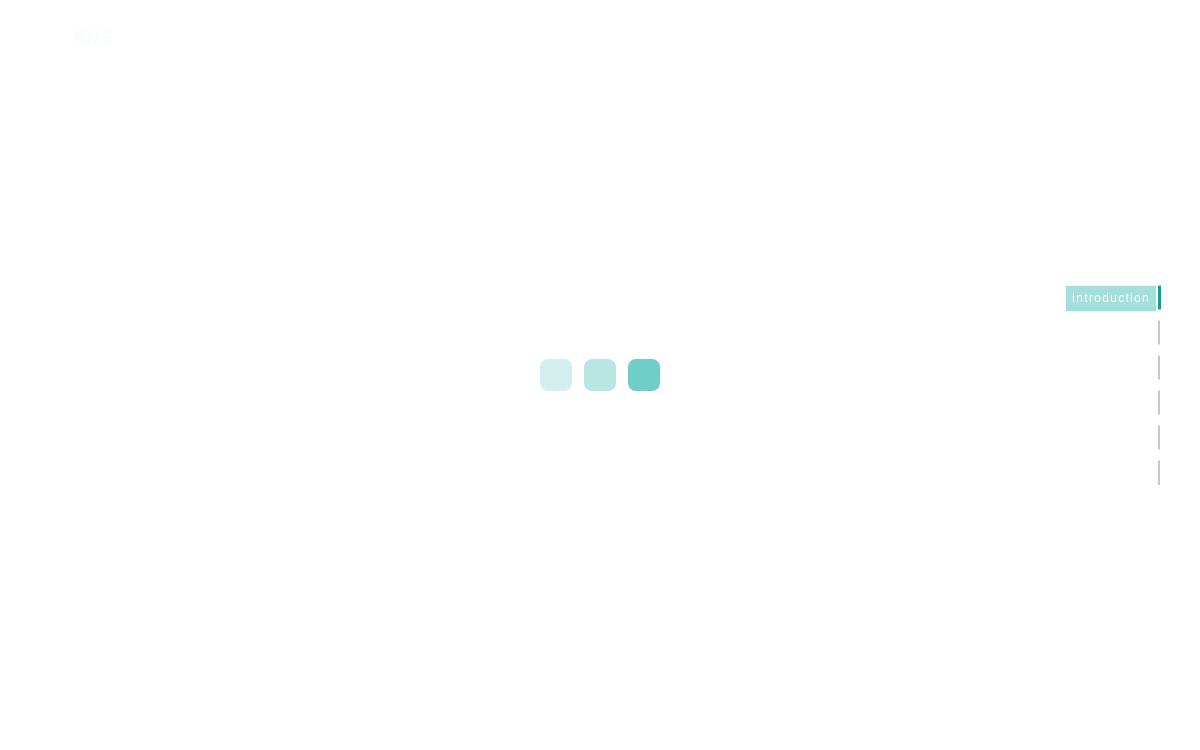 KNS Group website preview