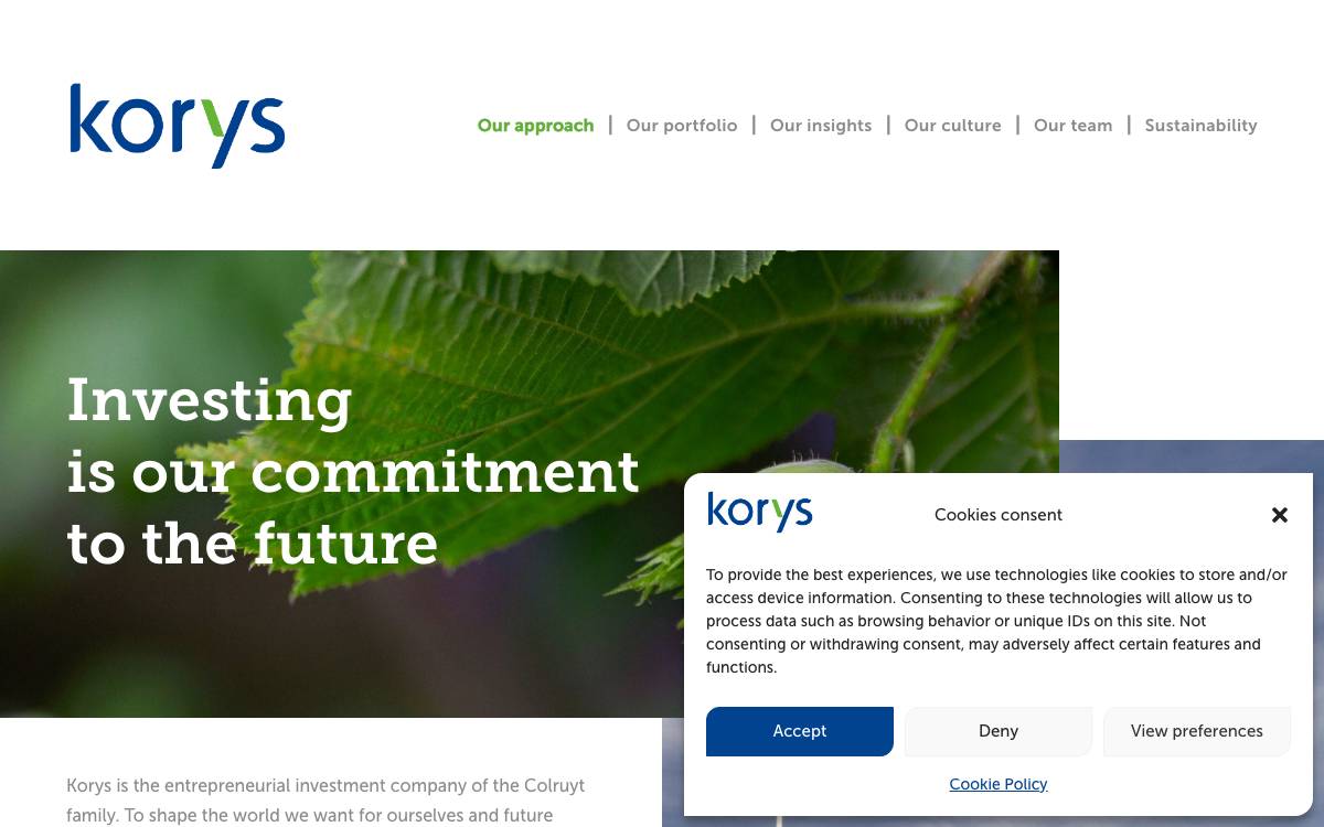 Korys website preview