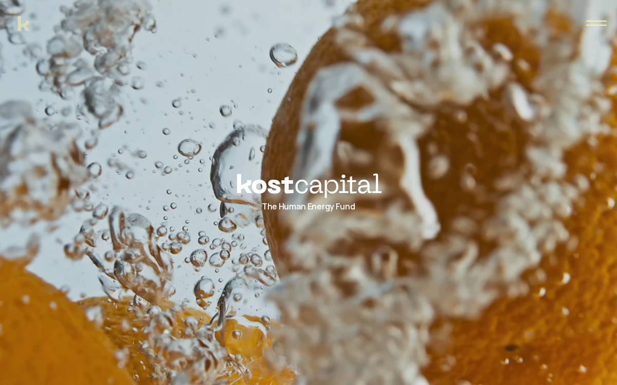 Kost Capital website preview