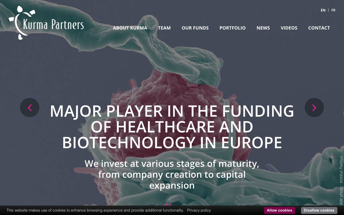 Kurma Partners website preview