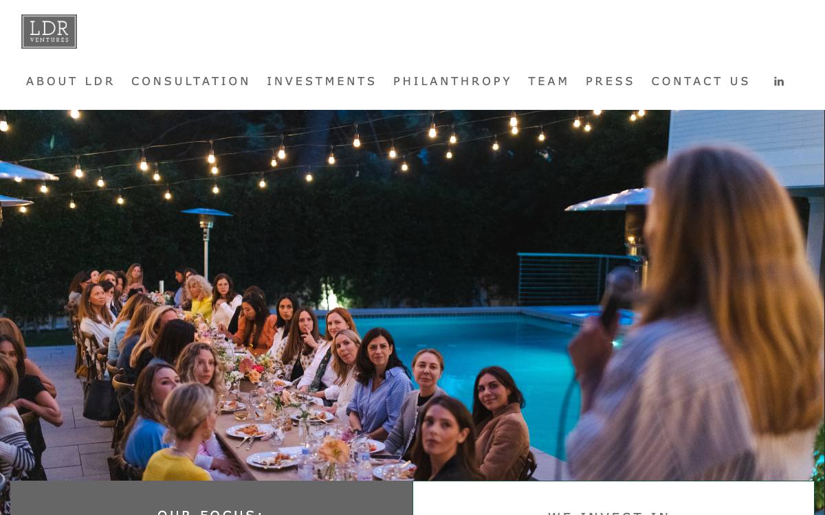 LDR Ventures website preview