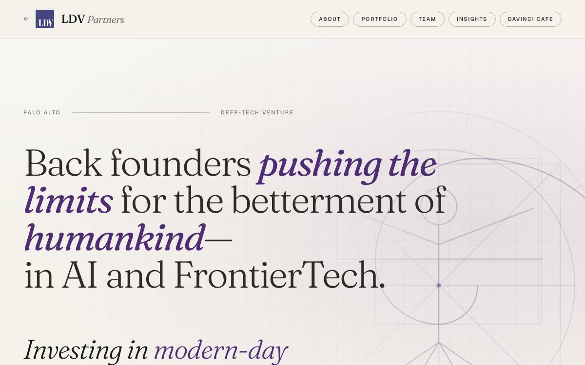LDV Partners website preview