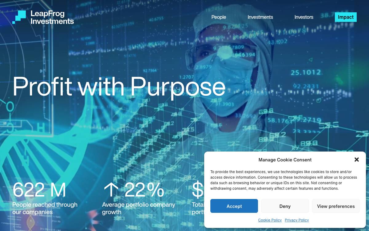 LeapFrog Investments website preview