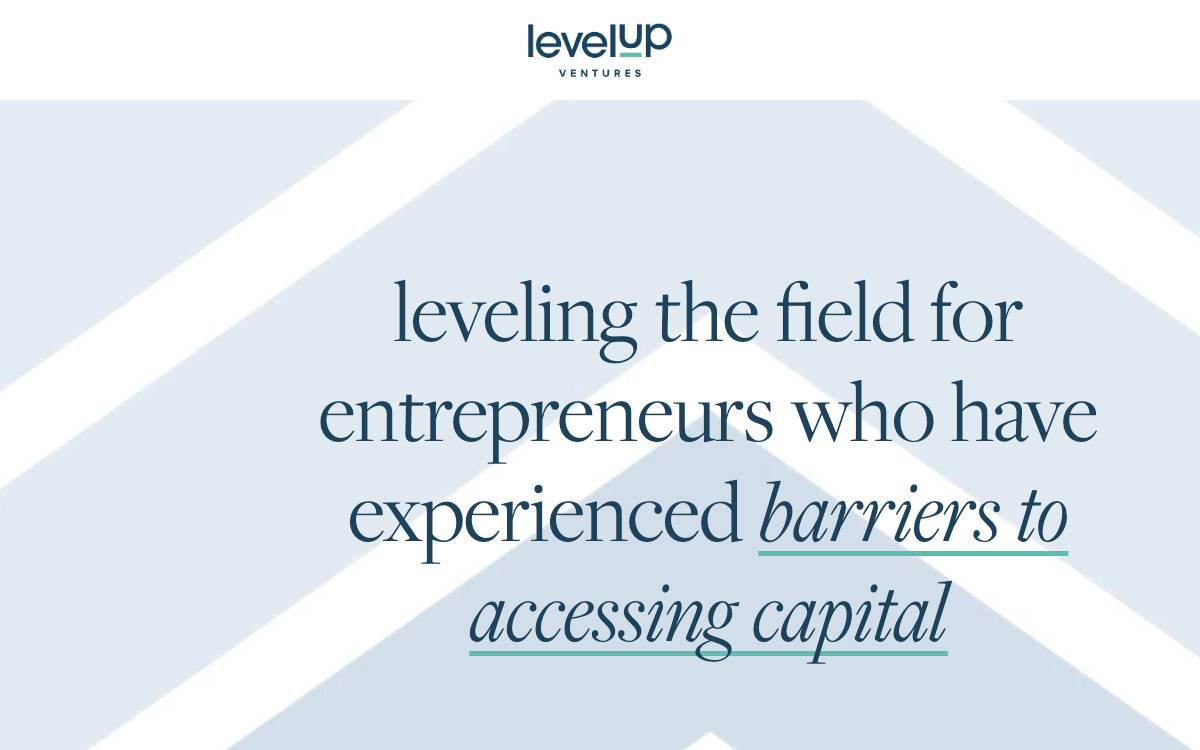 Level Up Ventures website preview