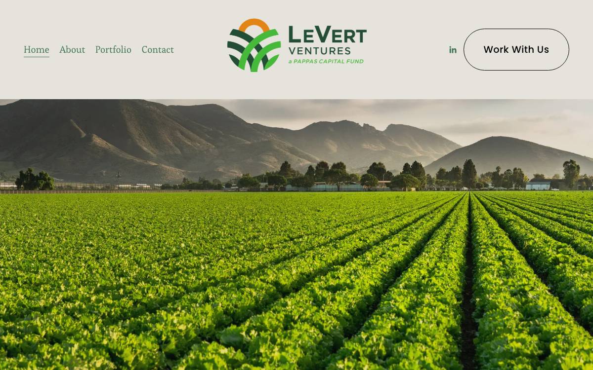 LeVert Ventures website preview