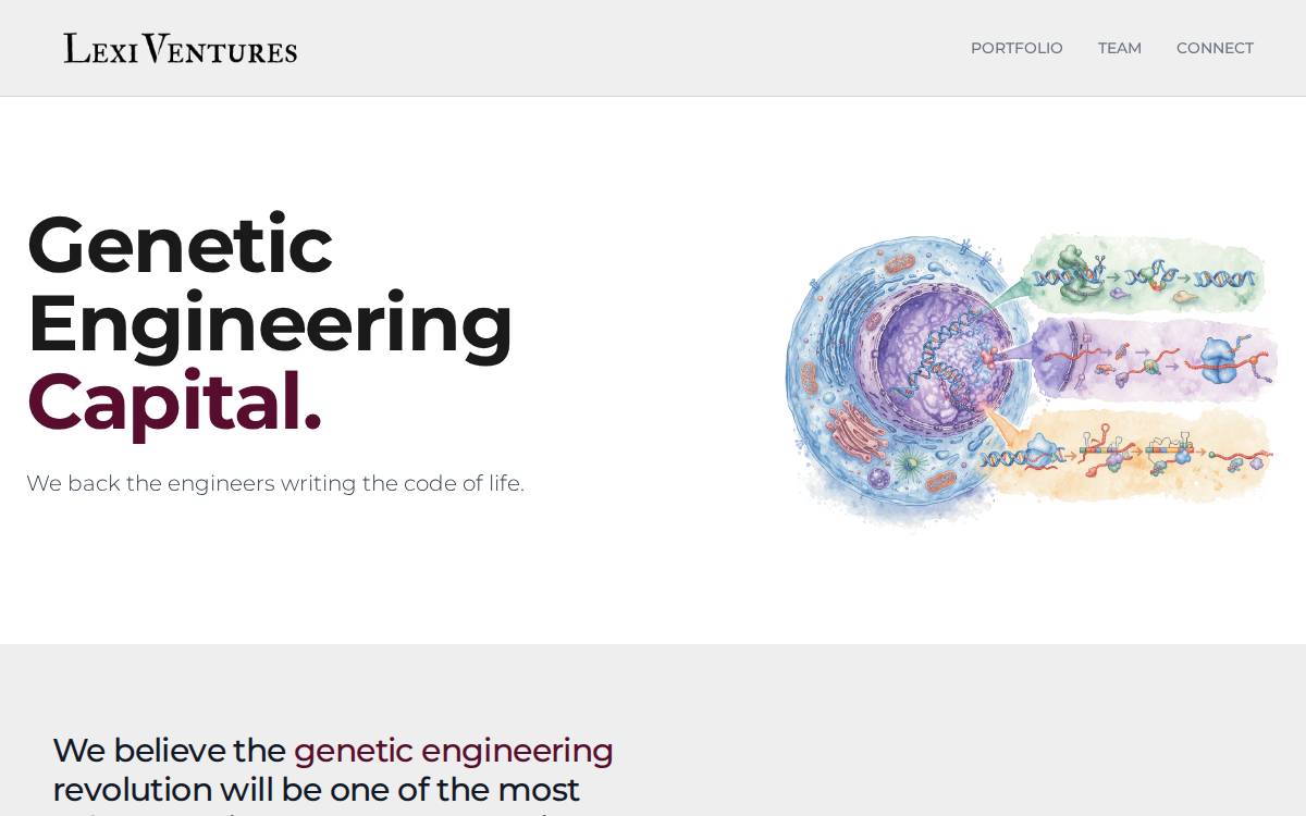 Lexi Ventures website preview